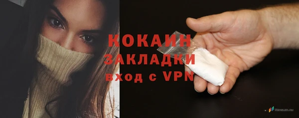 стафф Алексин