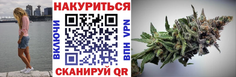 Конопля сатива Мирный